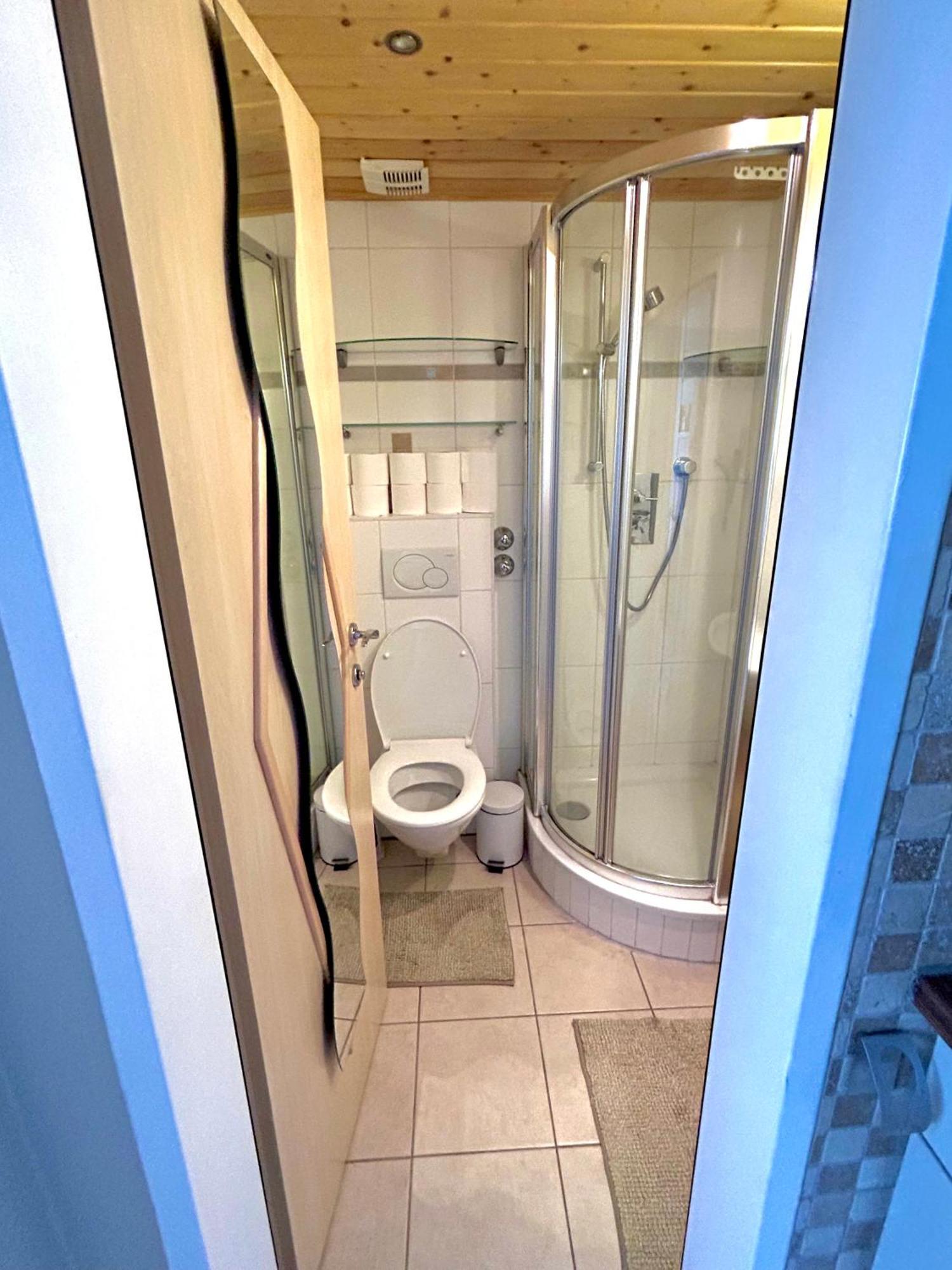 Alpine Apartment Schladming Mit Sauna Und Pool Exteriör bild